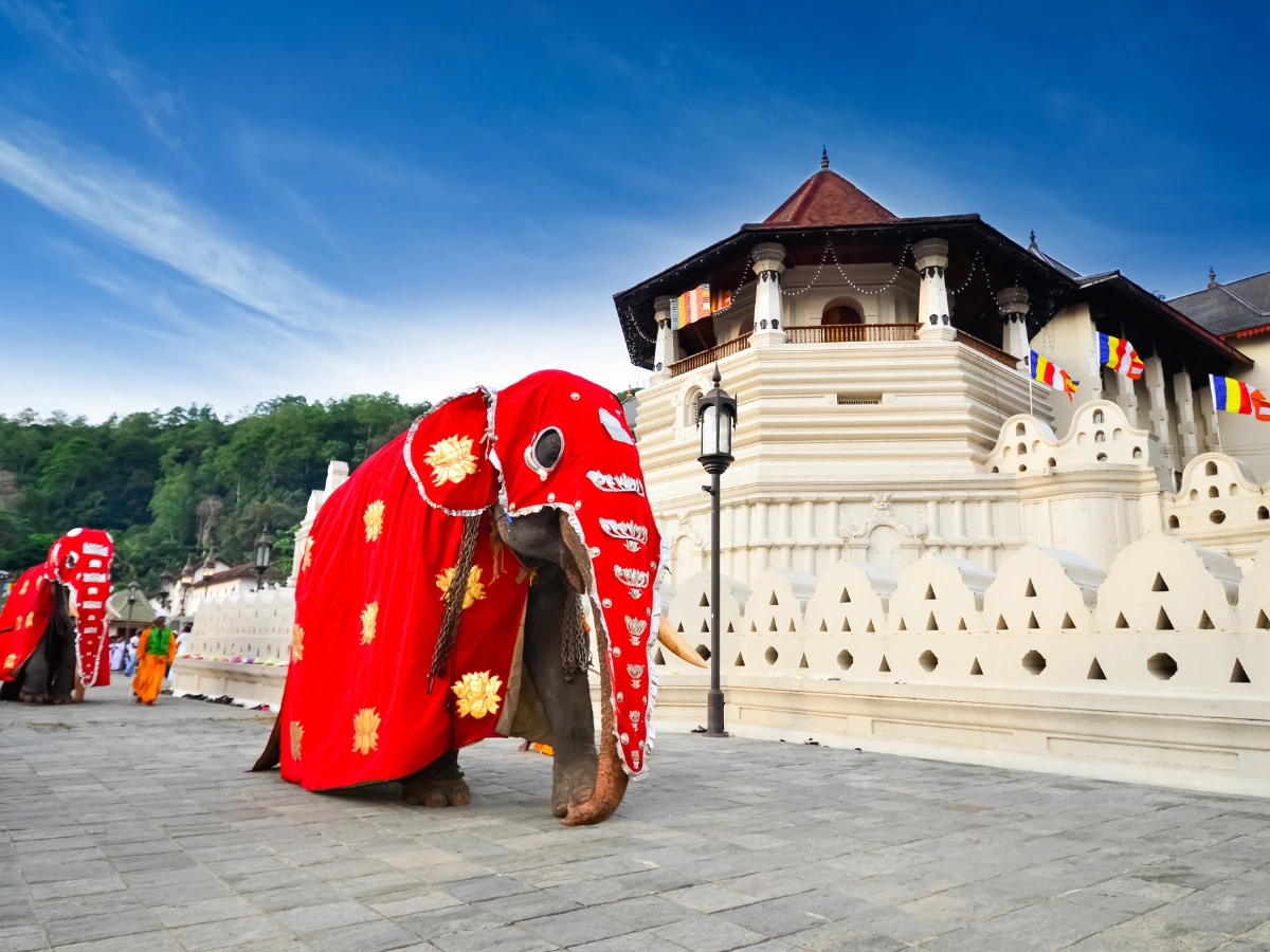 Winter In Sri Lanka Package